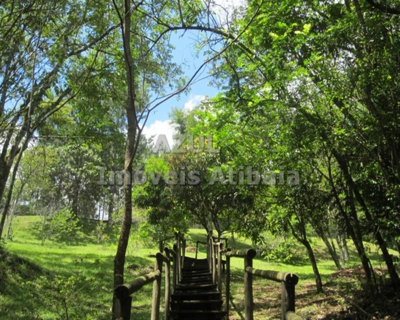 Chácara, 5 quartos, 2 hectares - Foto 37