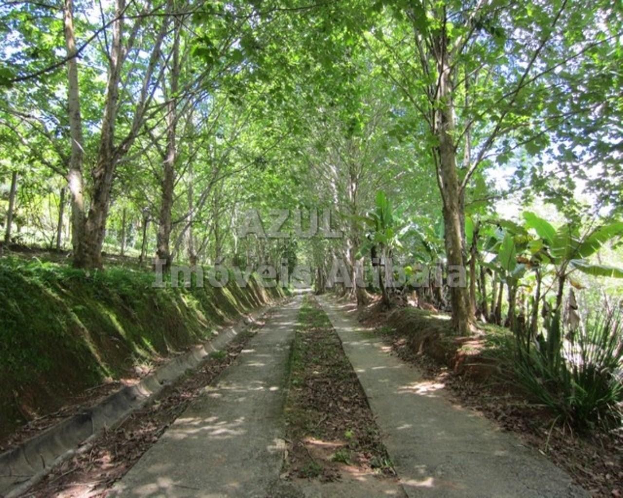Chácara, 5 quartos, 2 hectares - Foto 36