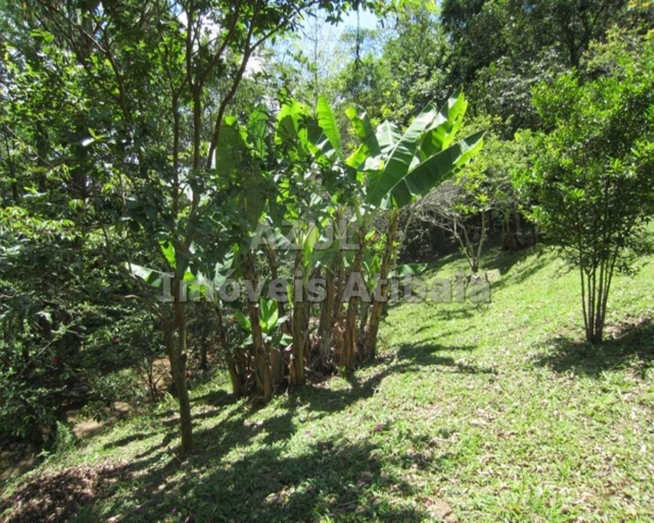 Chácara, 5 quartos, 2 hectares - Foto 38