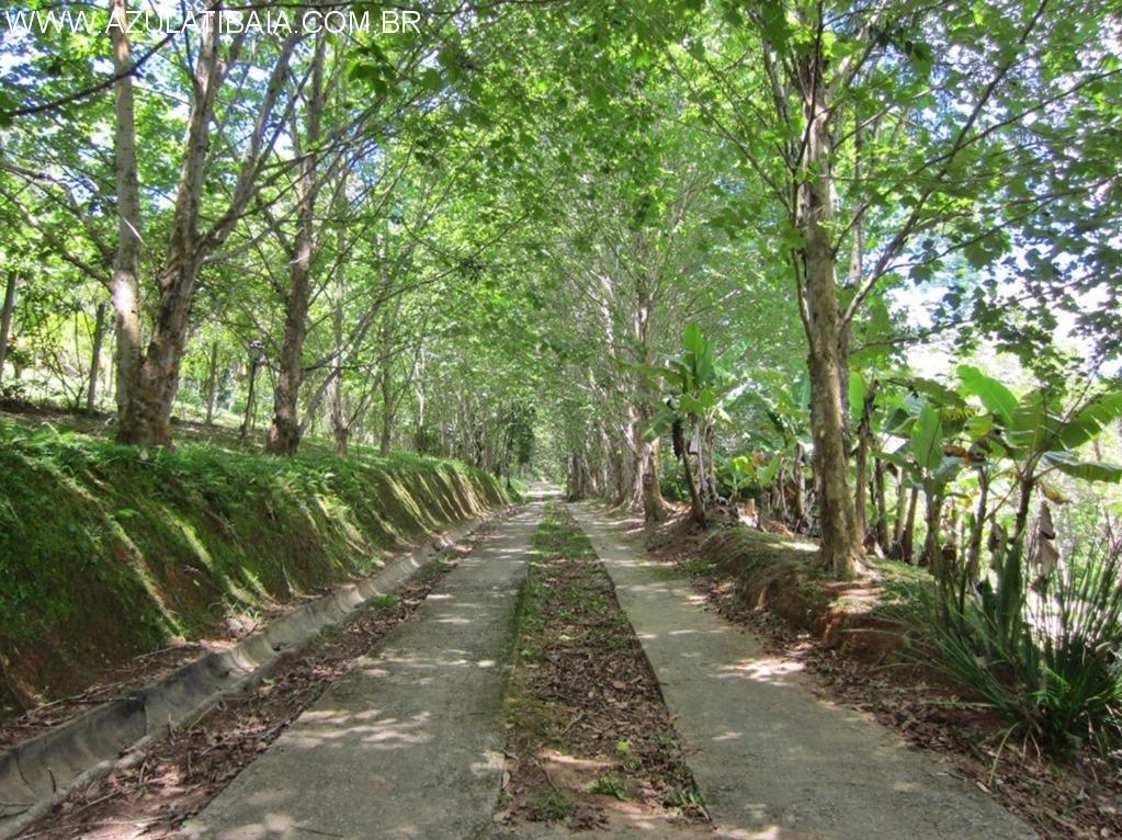 Chácara, 5 quartos, 2 hectares - Foto 42