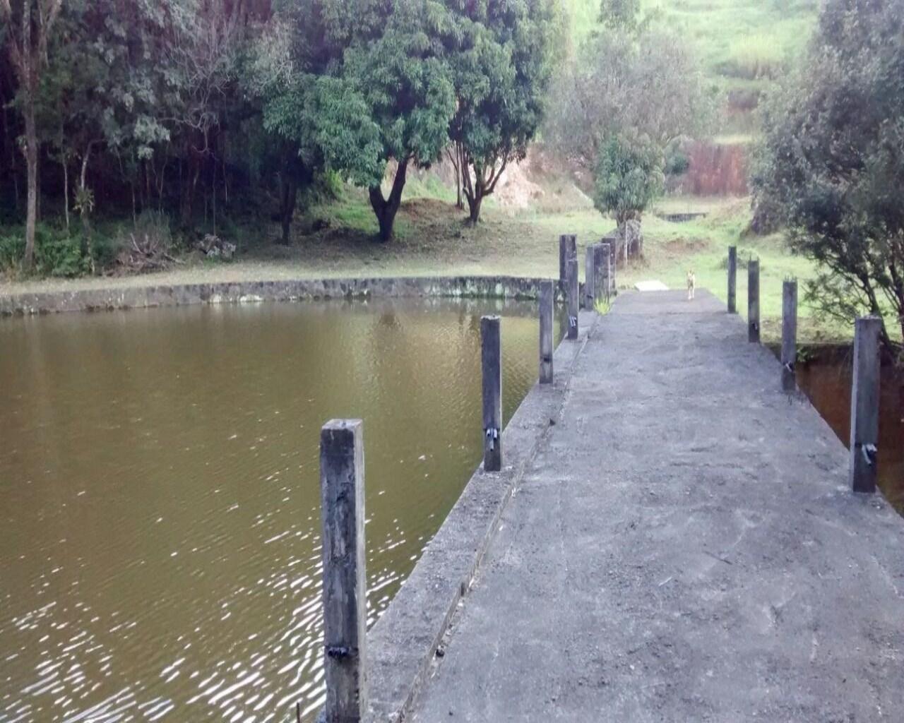 Terreno, 35 hectares - Foto 8