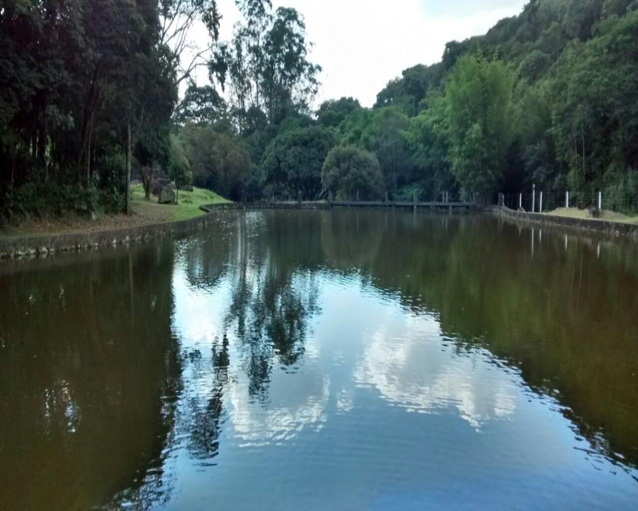 Terreno, 35 hectares - Foto 4