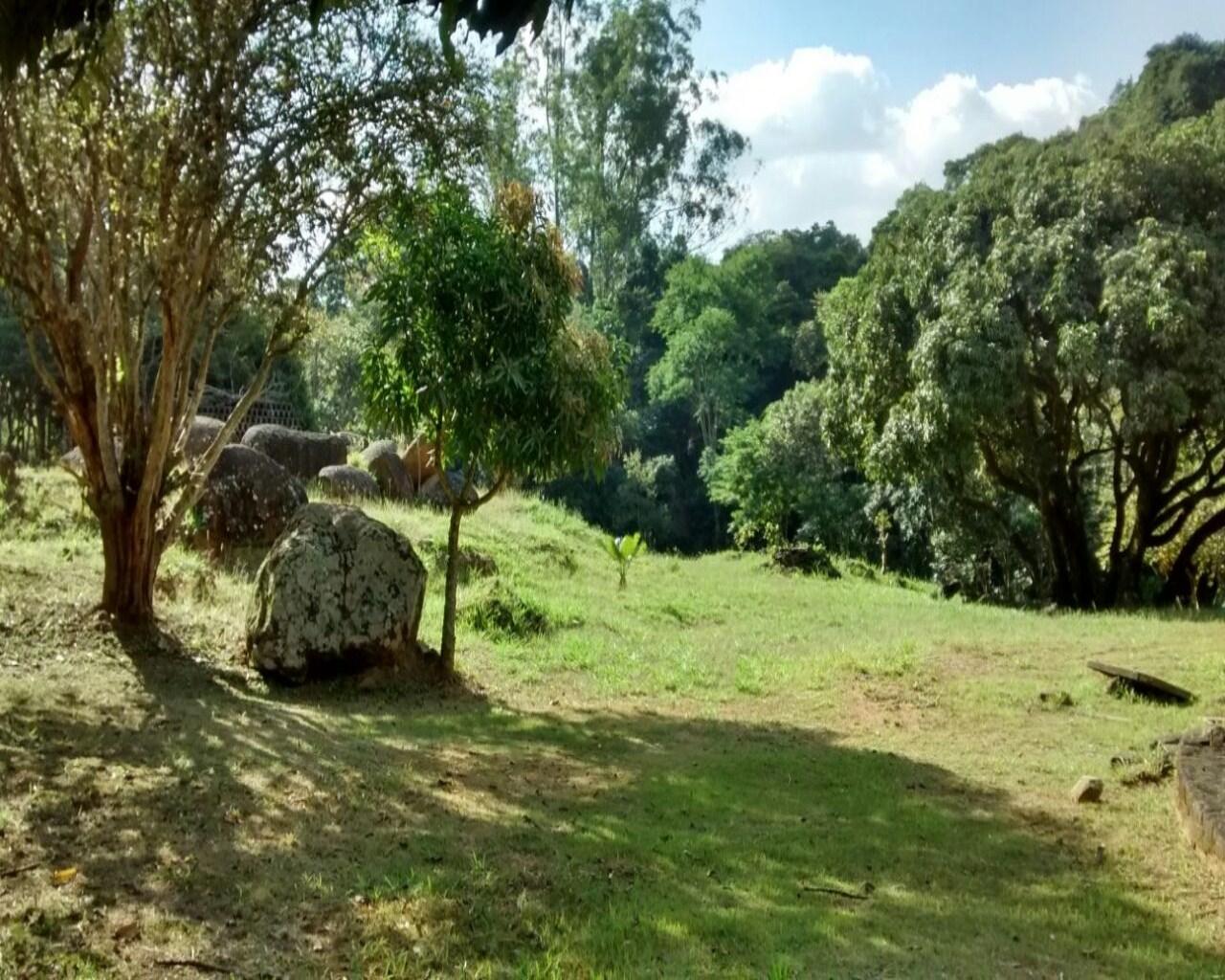 Terreno, 35 hectares - Foto 3