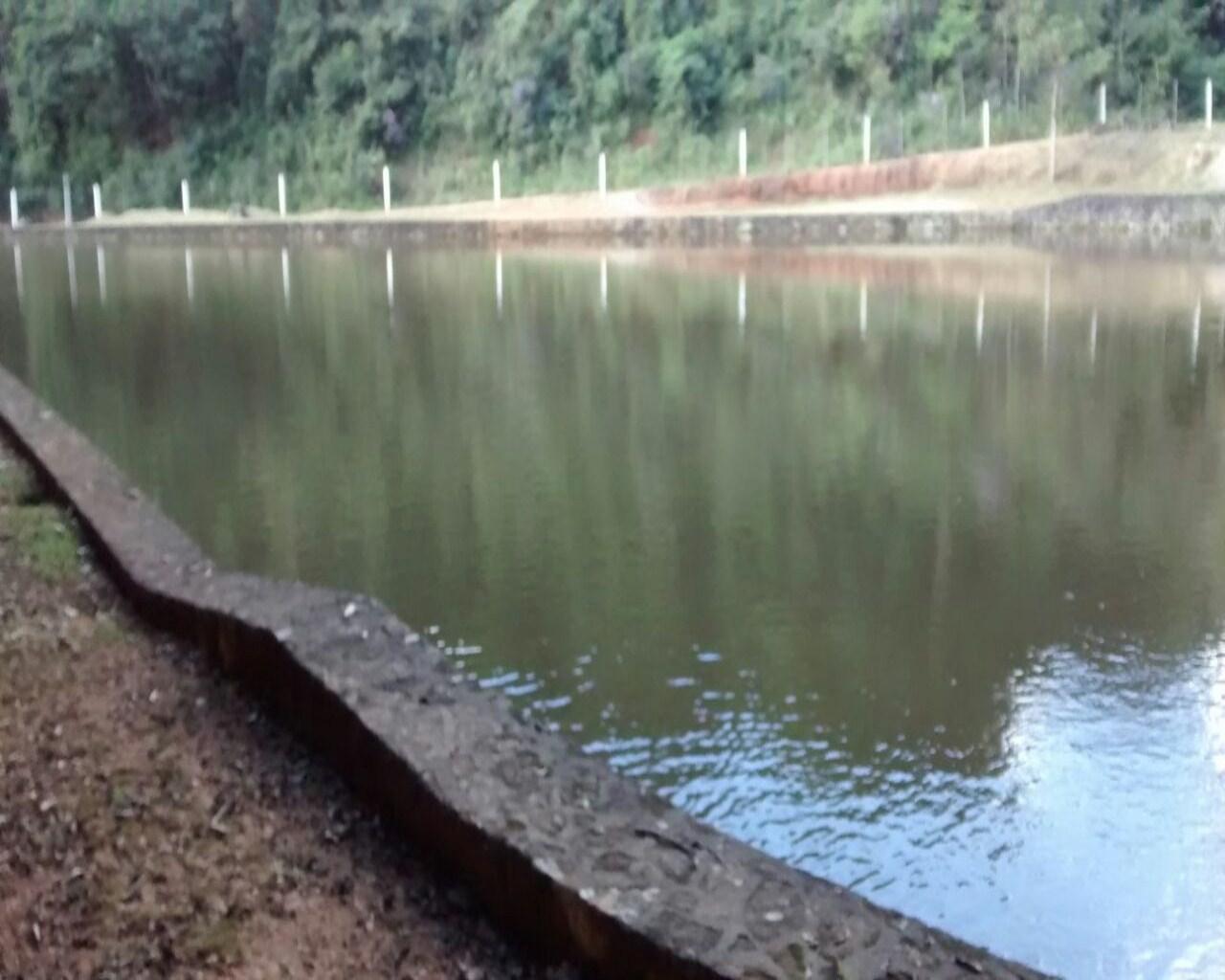 Terreno, 35 hectares - Foto 2