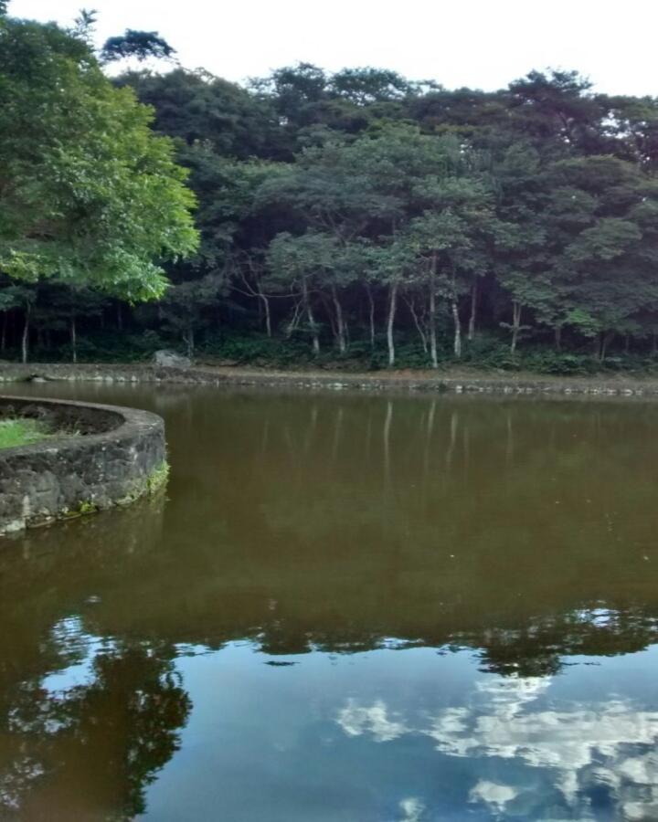 Terreno, 35 hectares - Foto 7