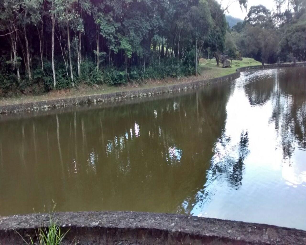 Terreno, 35 hectares - Foto 6