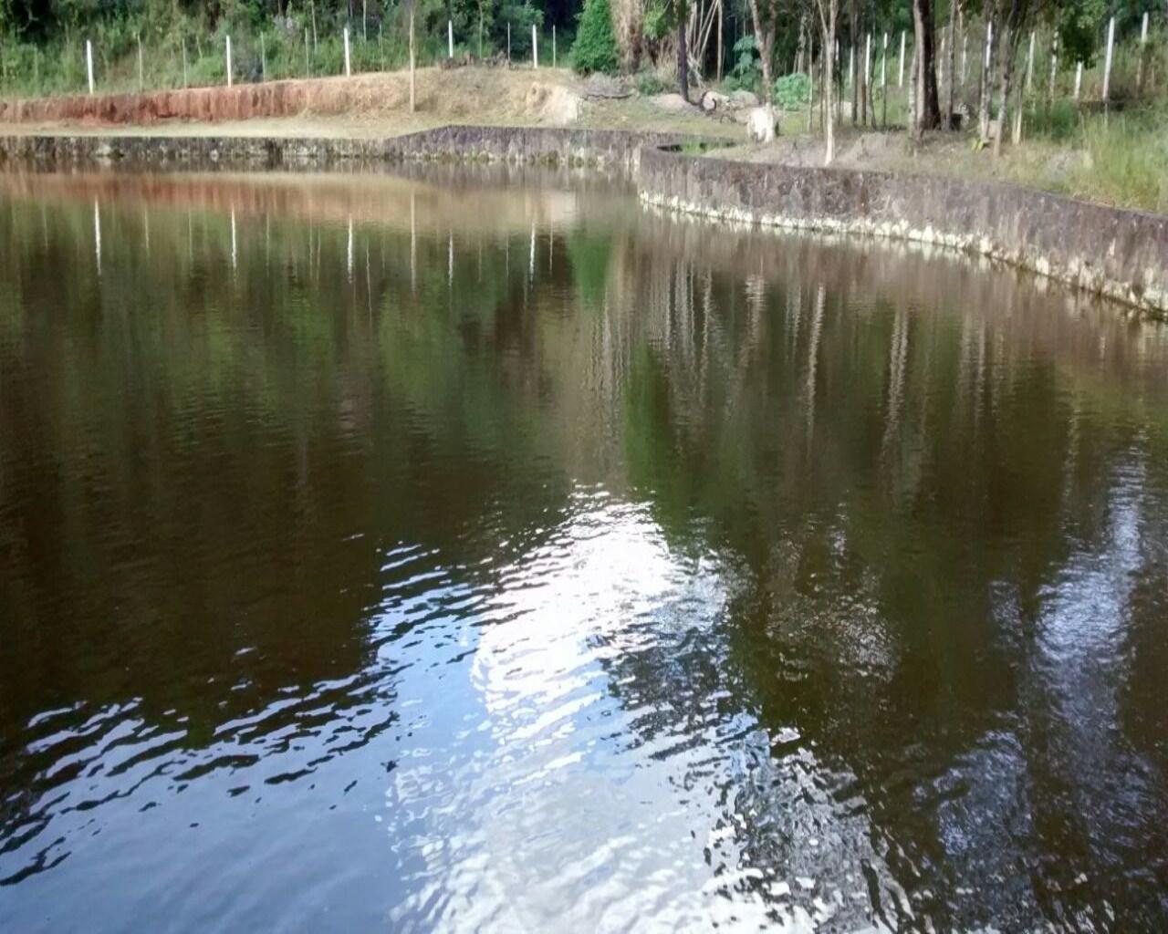 Terreno, 35 hectares - Foto 5