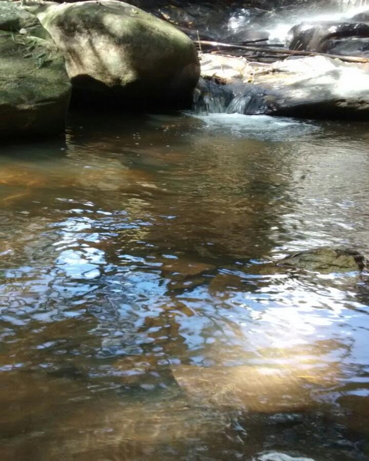 Terreno, 35 hectares - Foto 18