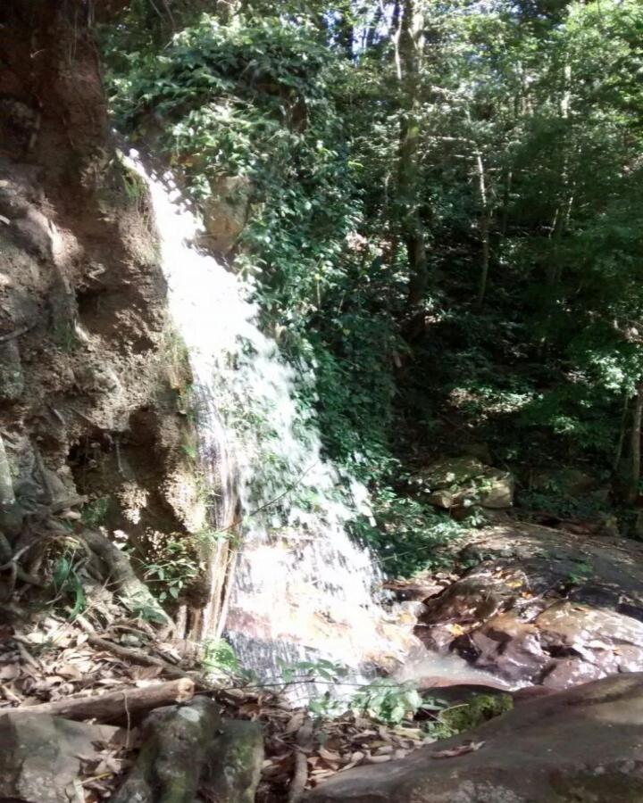 Terreno, 35 hectares - Foto 16