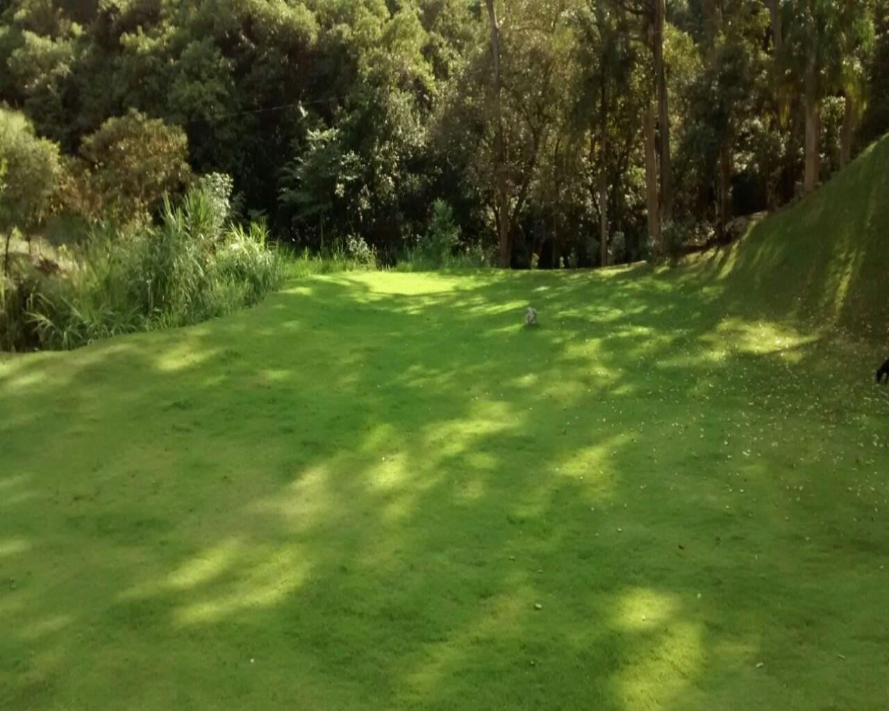 Terreno, 35 hectares - Foto 21