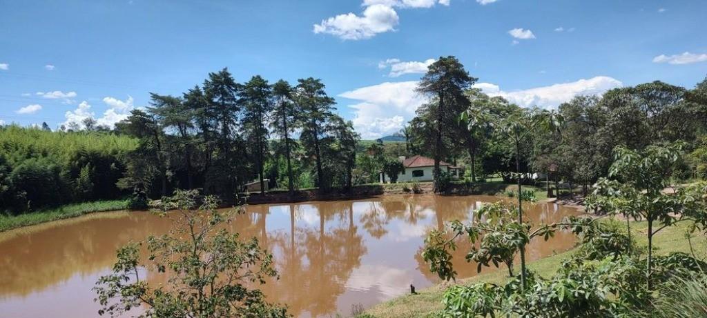 Sítio, 3 quartos, 4 hectares - Foto 8