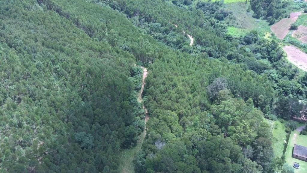 Sítio, 3 quartos, 4 hectares - Foto 11