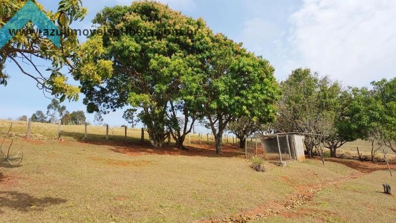 Sítio, 7 quartos, 3 hectares - Foto 5