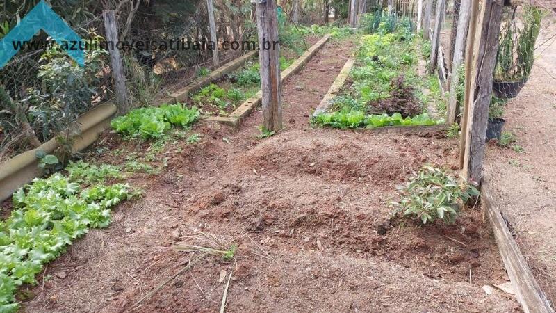 Sítio, 7 quartos, 3 hectares - Foto 11