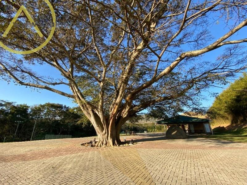 Casa de Condomínio, 4 quartos - Foto 27