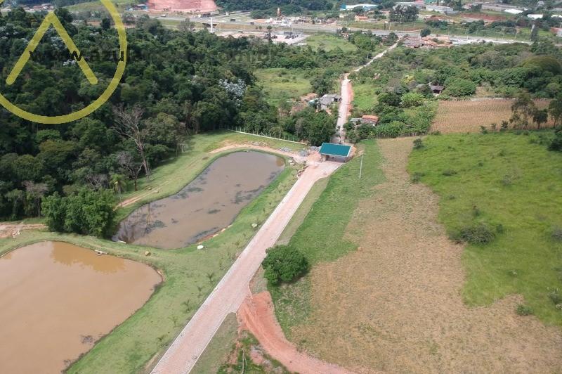 Terreno, 2 hectares - Foto 6