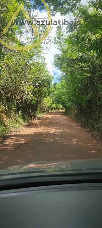 Sítio, 4 quartos, 2 hectares - Foto 37