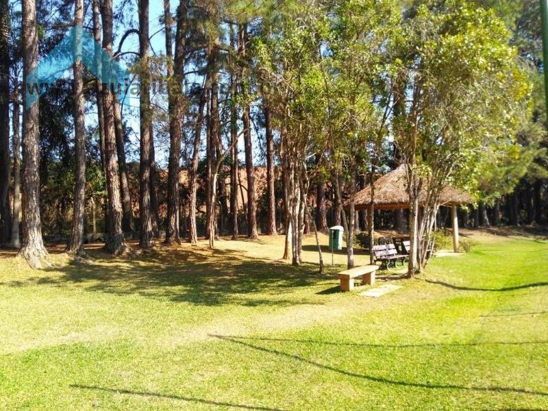 Chácara, 3 quartos, 900 m² - Foto 31