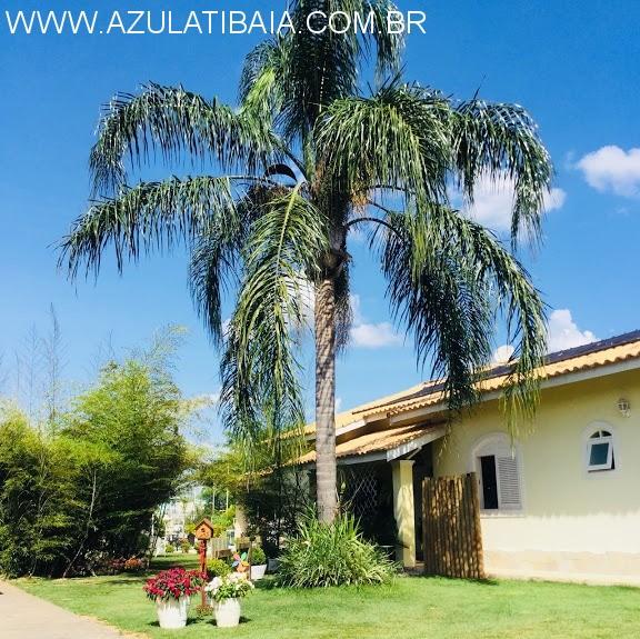 Chácara, 6 quartos, 1540 m² - Foto 1