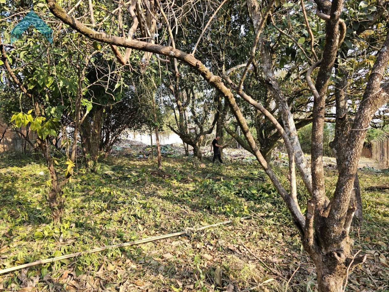 Terreno, 1000 m² - Foto 10