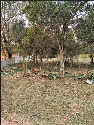 Terreno, 1290 m² - Foto 1