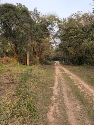 Terreno, 1290 m² - Foto 2