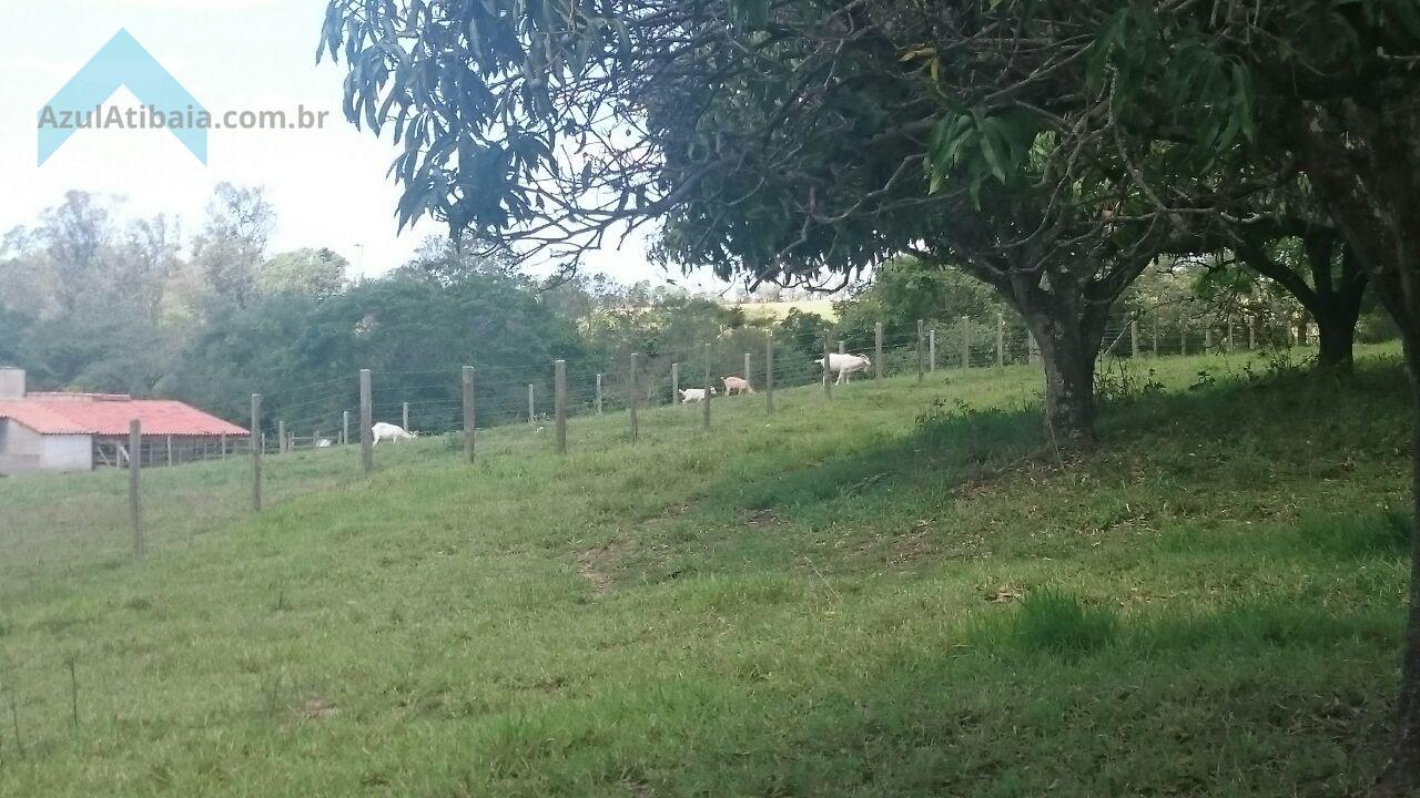 Sítio, 4 quartos, 4 hectares - Foto 20