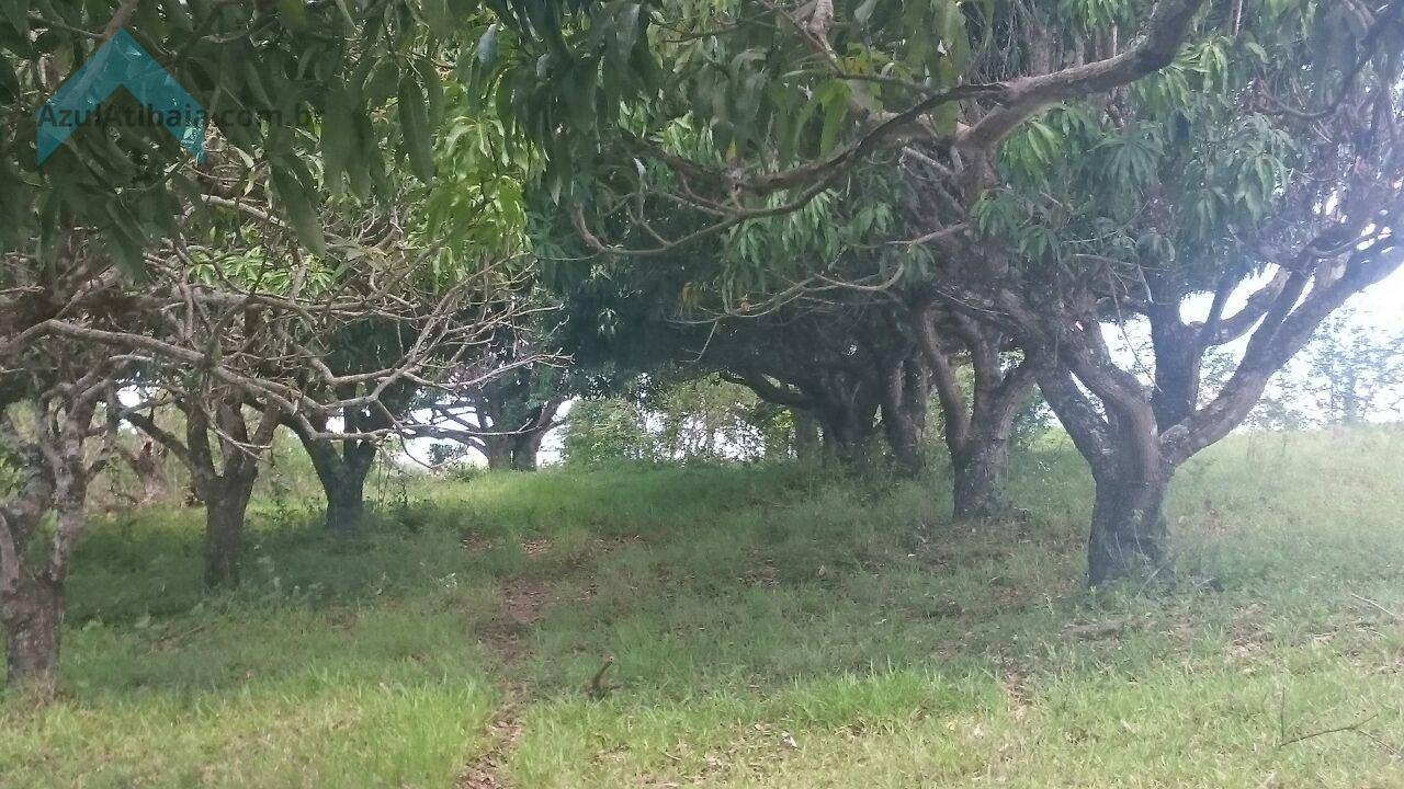 Sítio, 4 quartos, 4 hectares - Foto 30