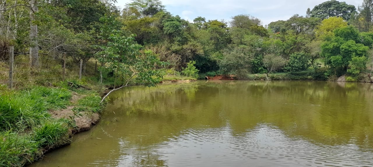 Sítio, 4 quartos, 4 hectares - Foto 37