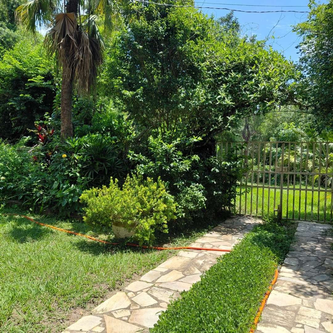 Sítio, 4 quartos, 4 hectares - Foto 42