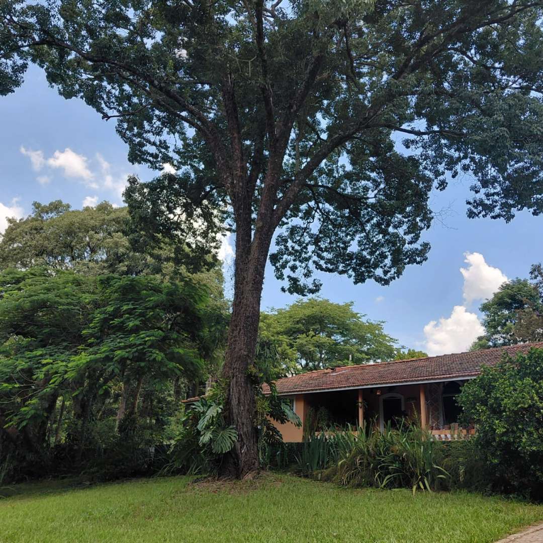 Sítio, 4 quartos, 4 hectares - Foto 44