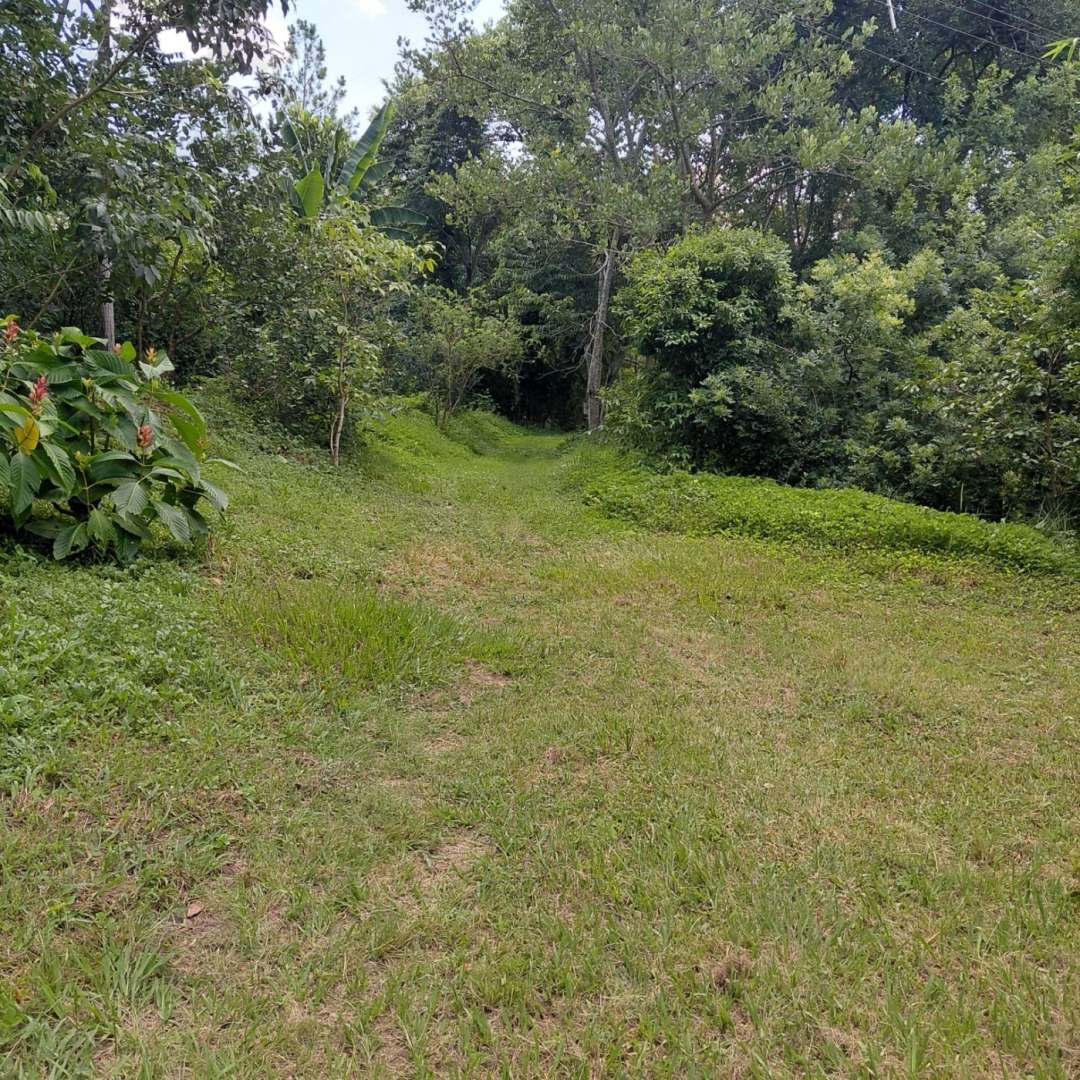 Sítio, 4 quartos, 4 hectares - Foto 46