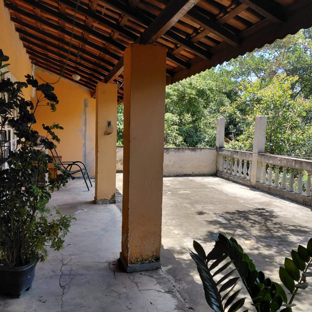 Sítio, 4 quartos, 4 hectares - Foto 34