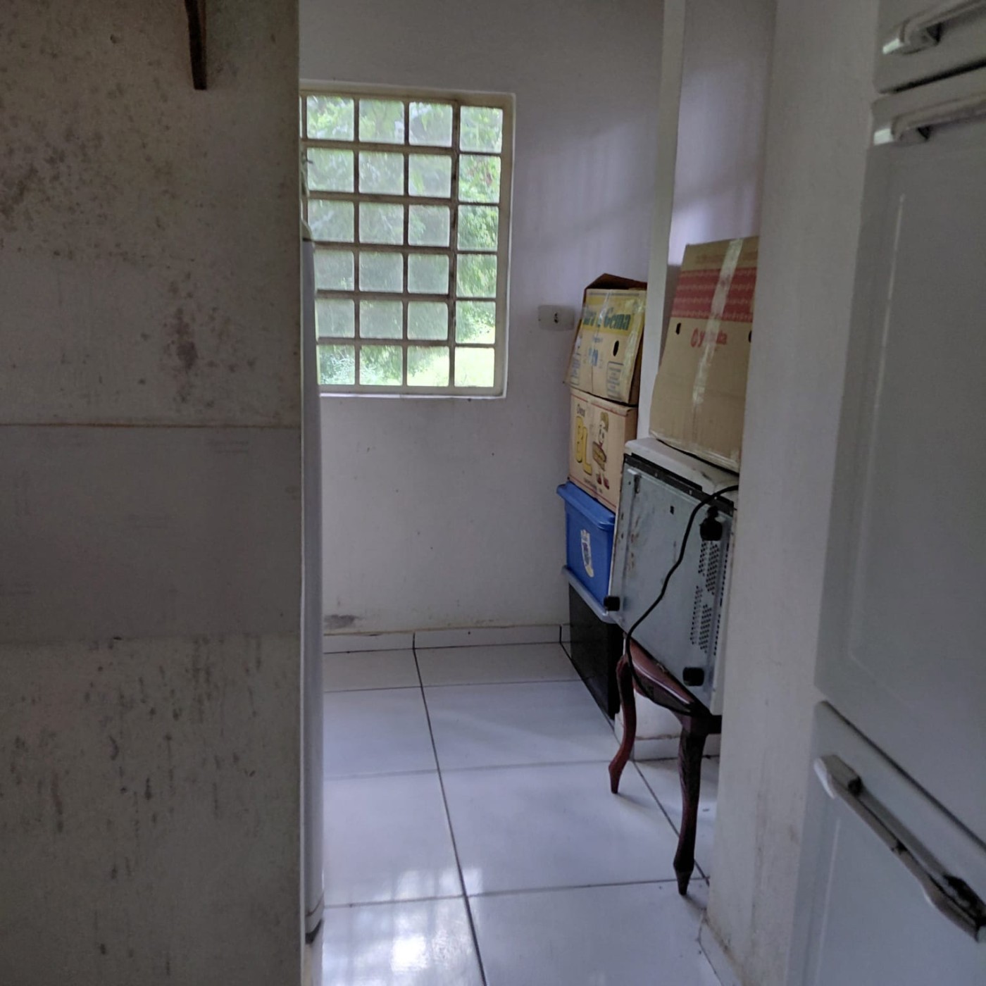 Sítio, 4 quartos, 4 hectares - Foto 47