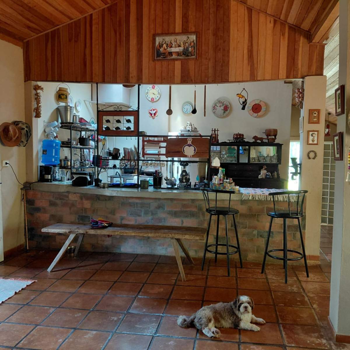 Sítio, 4 quartos, 4 hectares - Foto 7