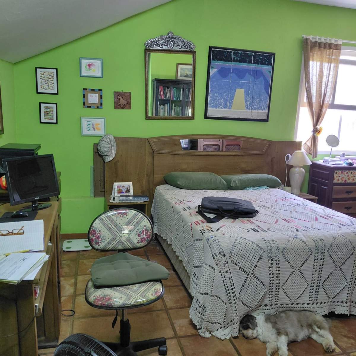 Sítio, 4 quartos, 4 hectares - Foto 12