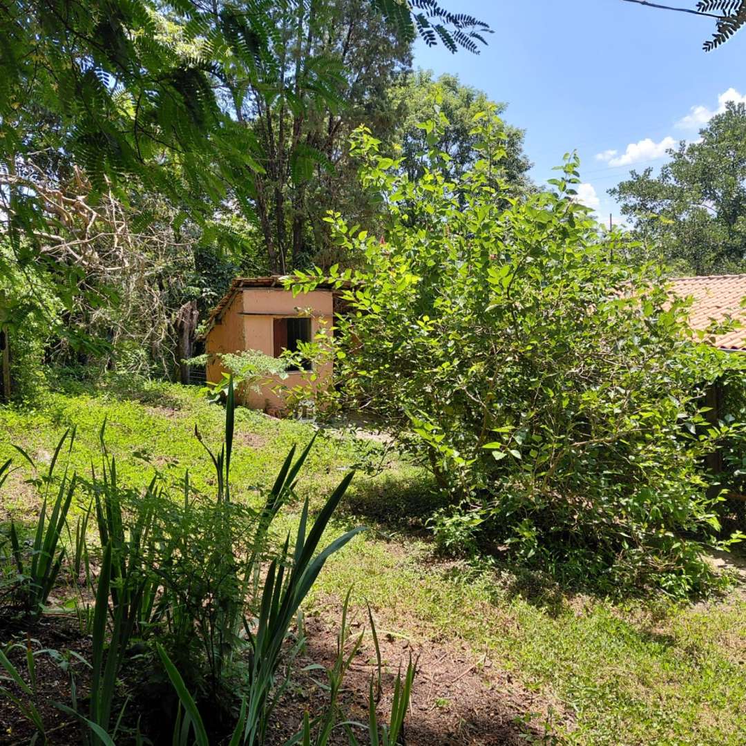 Sítio, 4 quartos, 4 hectares - Foto 48