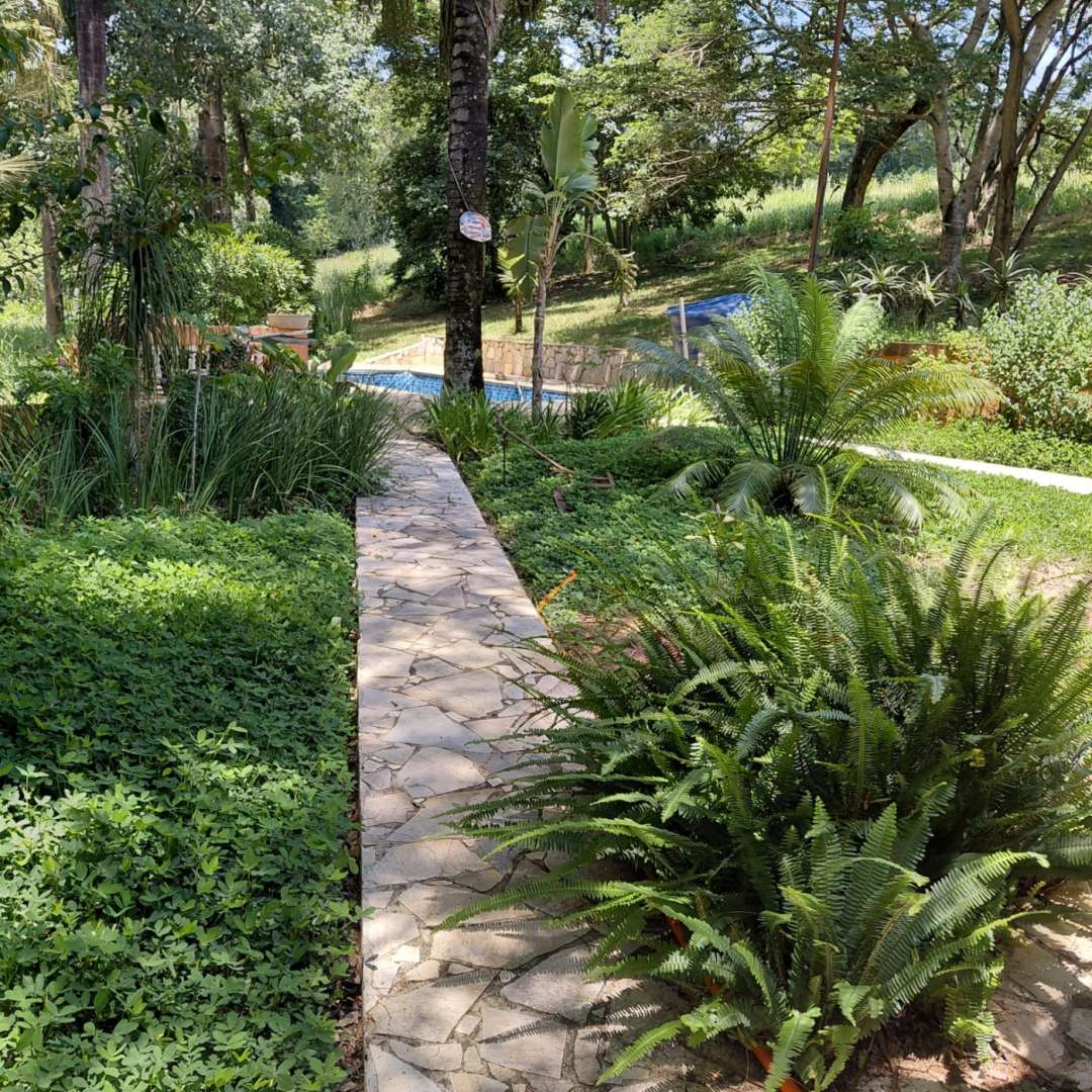 Sítio, 4 quartos, 4 hectares - Foto 51