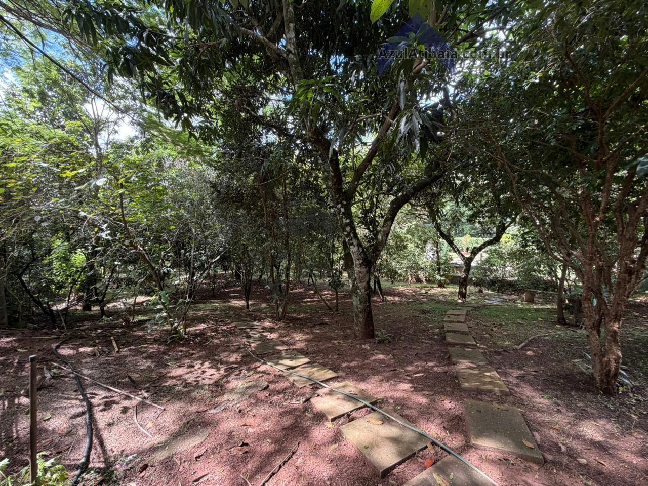 Fazenda, 3828 m² - Foto 16
