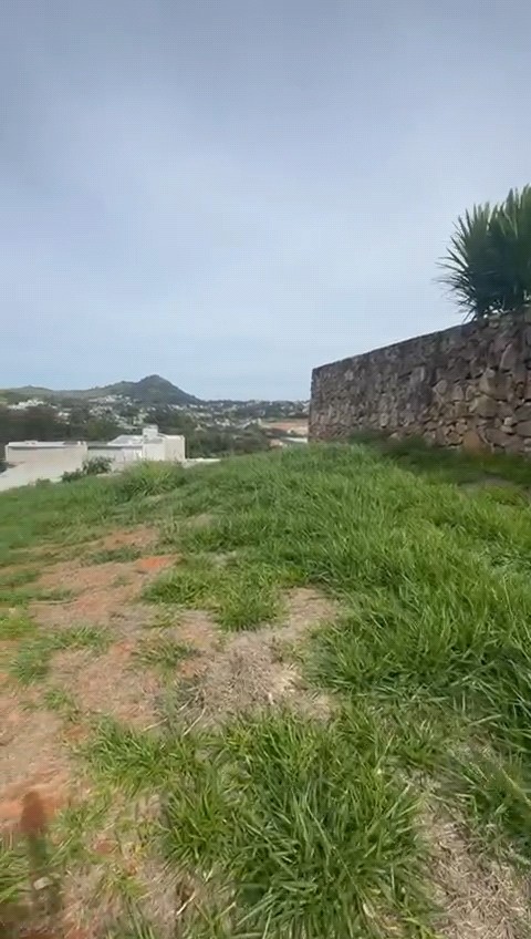 Terreno, 704 m² - Foto 11