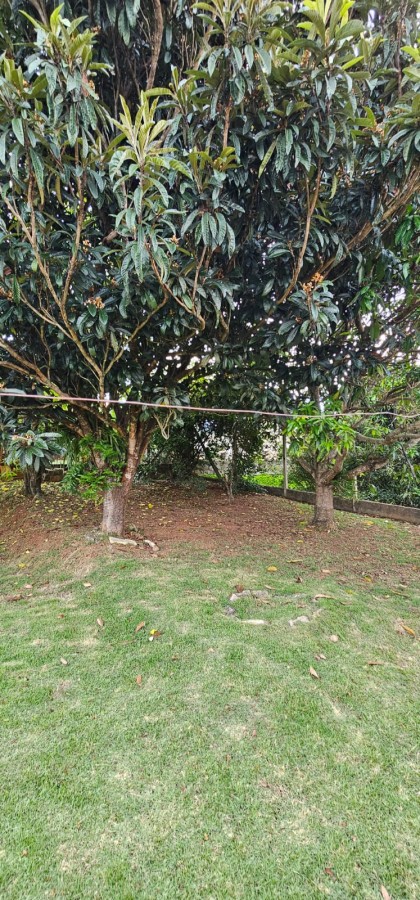 Fazenda, 1060 m² - Foto 33