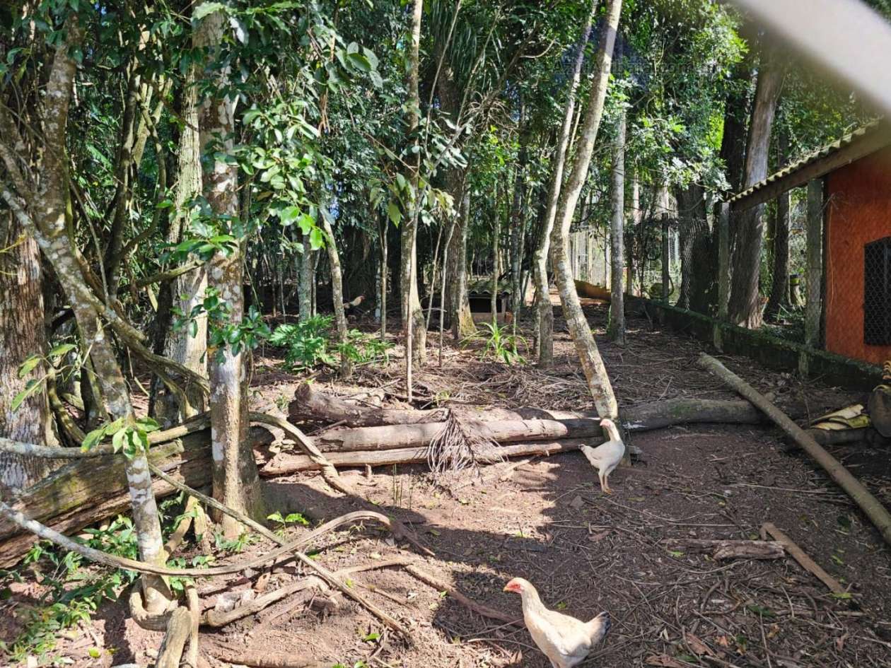 Chácara, 2 quartos, 1500 m² - Foto 16