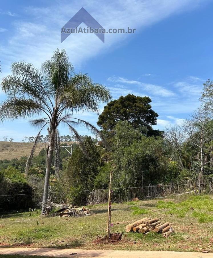 Terreno, 1000 m² - Foto 4