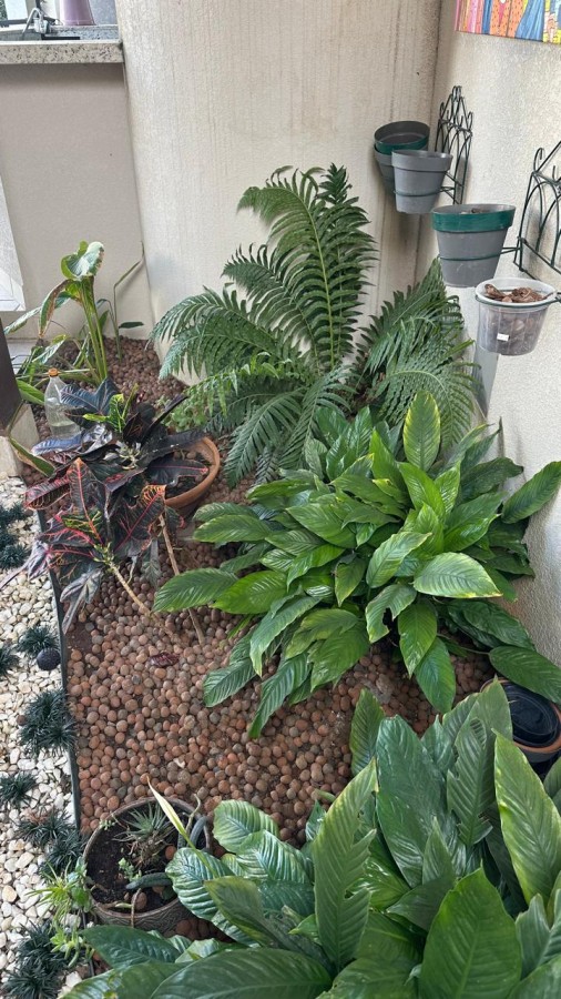 Casa, 6 quartos, 350 m² - Foto 41