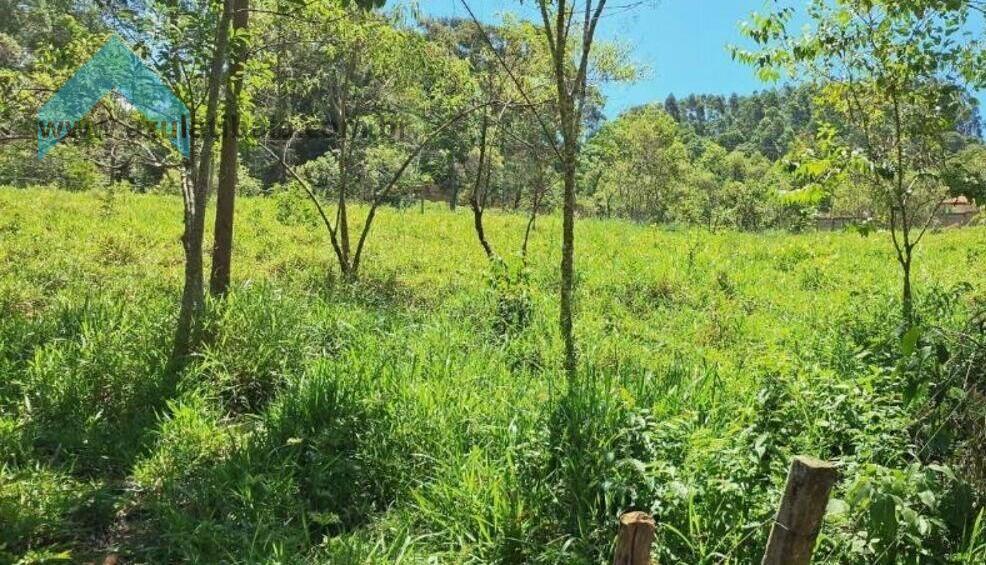 Rural à venda com 65000m² de terreno no Vicente Nunes, Nazaré Paulista (SP) — foto 17 de 18