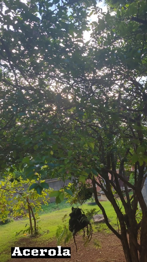 Rural à venda com 1000m² de terreno no Chacaras Fernao Dias, Atibaia (SP) — foto 22 de 30
