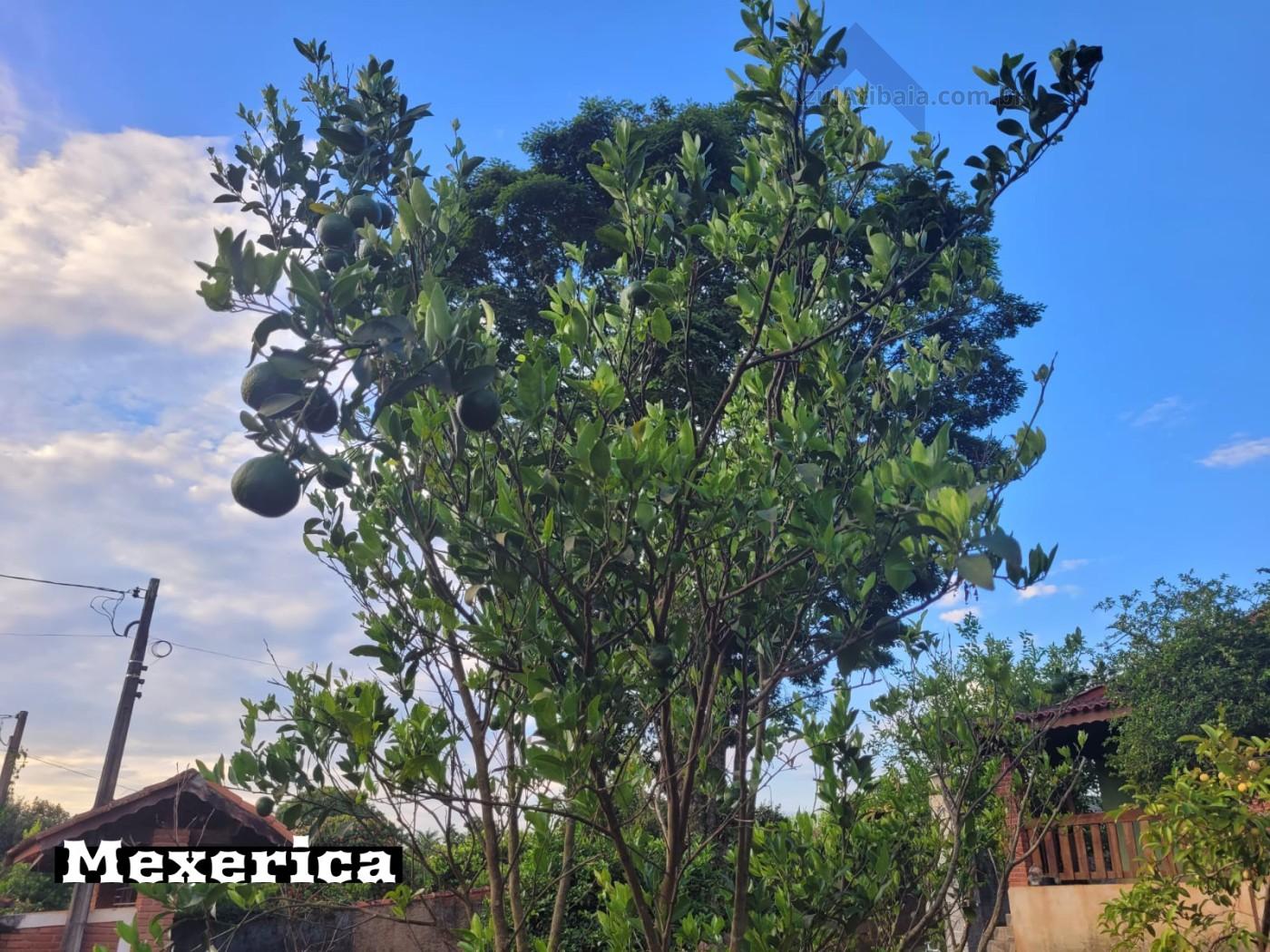 Rural à venda com 1000m² de terreno no Chacaras Fernao Dias, Atibaia (SP) — foto 26 de 30