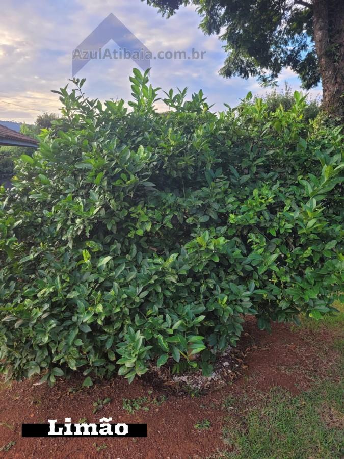 Rural à venda com 1000m² de terreno no Chacaras Fernao Dias, Atibaia (SP) — foto 24 de 30