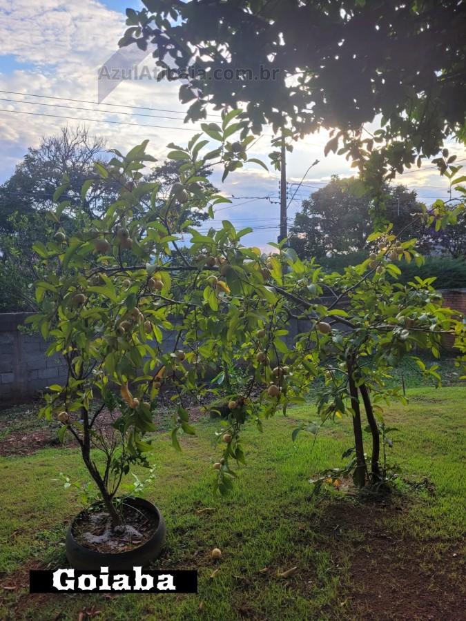 Rural à venda com 1000m² de terreno no Chacaras Fernao Dias, Atibaia (SP) — foto 27 de 30